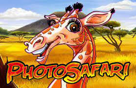 Kiwi Wildlife Safari Expedition - New Zealand themed adventure game featuring native wildlife photography